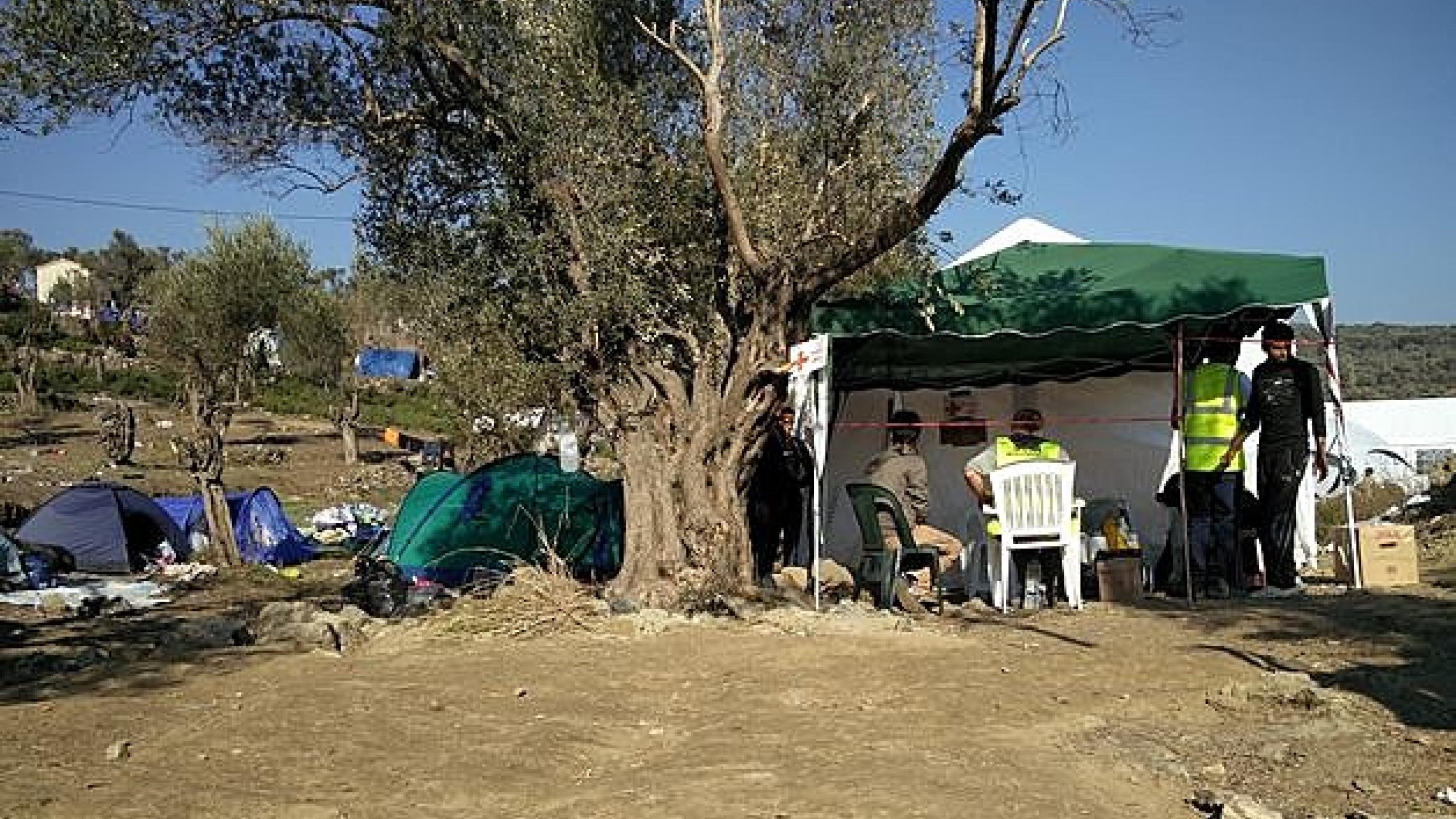 Flygtningelejren ved Moria, Lesbos. Health Point Project havde i november et lille lægetelt placeret i udkanten af lejren. I december eblev et større telt sat op.