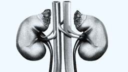 Forside | Ugeskriftet.dk