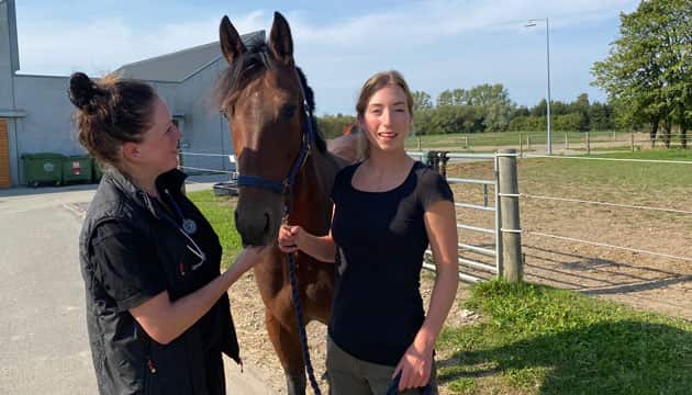 Lise Charlotte Berg og Camilla Andersen med en af forsøgshestene. Foto: privat