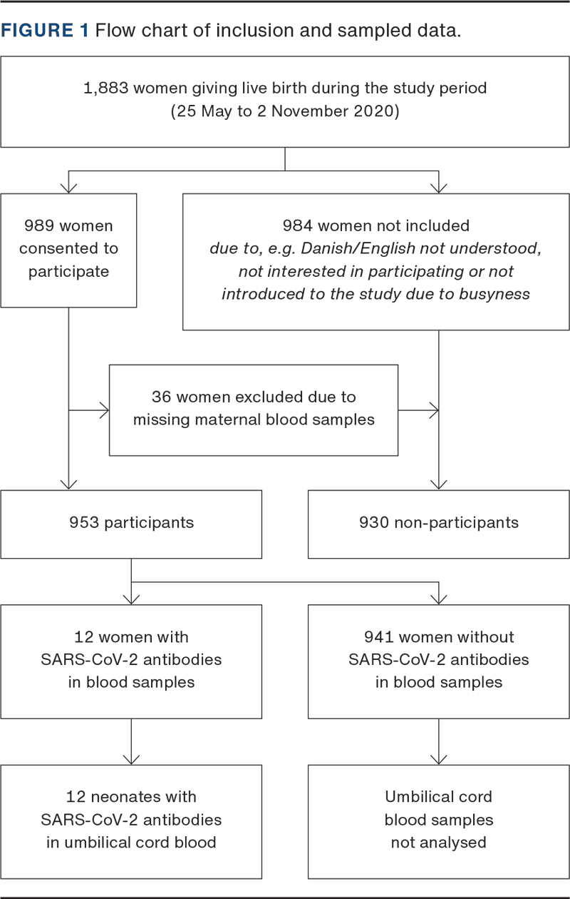 Antibody Status At Delivery And Pregnancy Outcomes During The First 