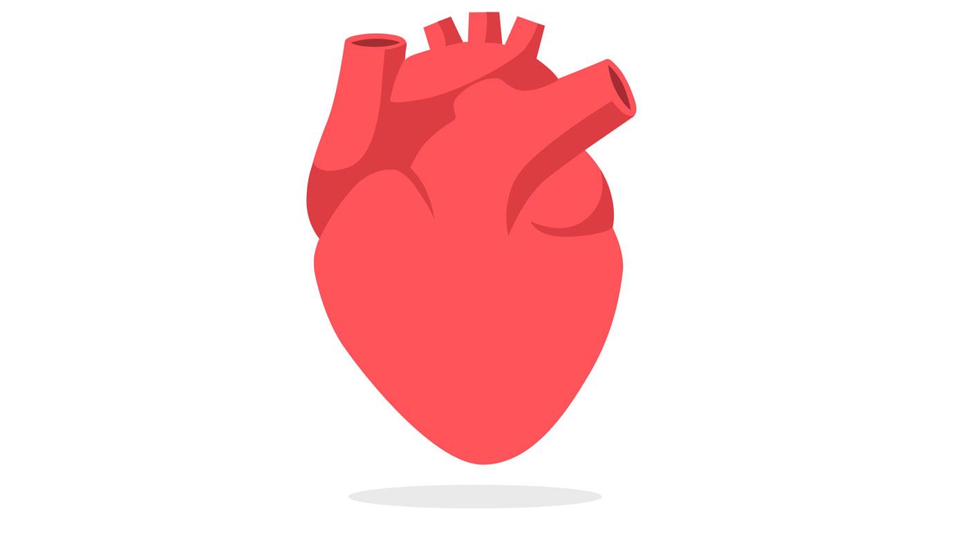 Illustration: Colourbox