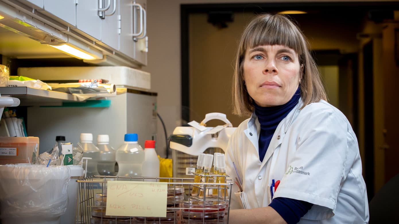 Det er især »detektivarbejdet«, der tiltaler Charlotte Nielsen Agergaard ved specialet i klinisk mikrobiologi. Foto: Heidi Lundsgaard