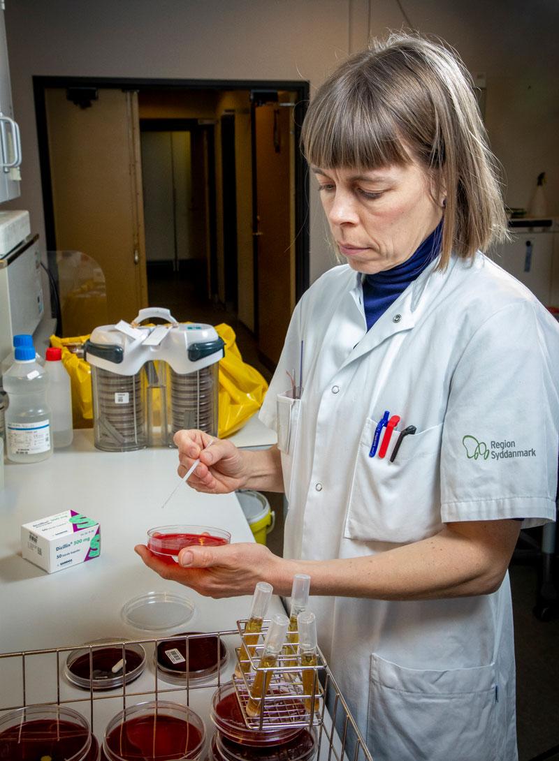 Charlotte Nielsen Agergaard blev speciallæge i klinisk mikrobiologi for to år siden. Foto: Heidi Lundsgaard