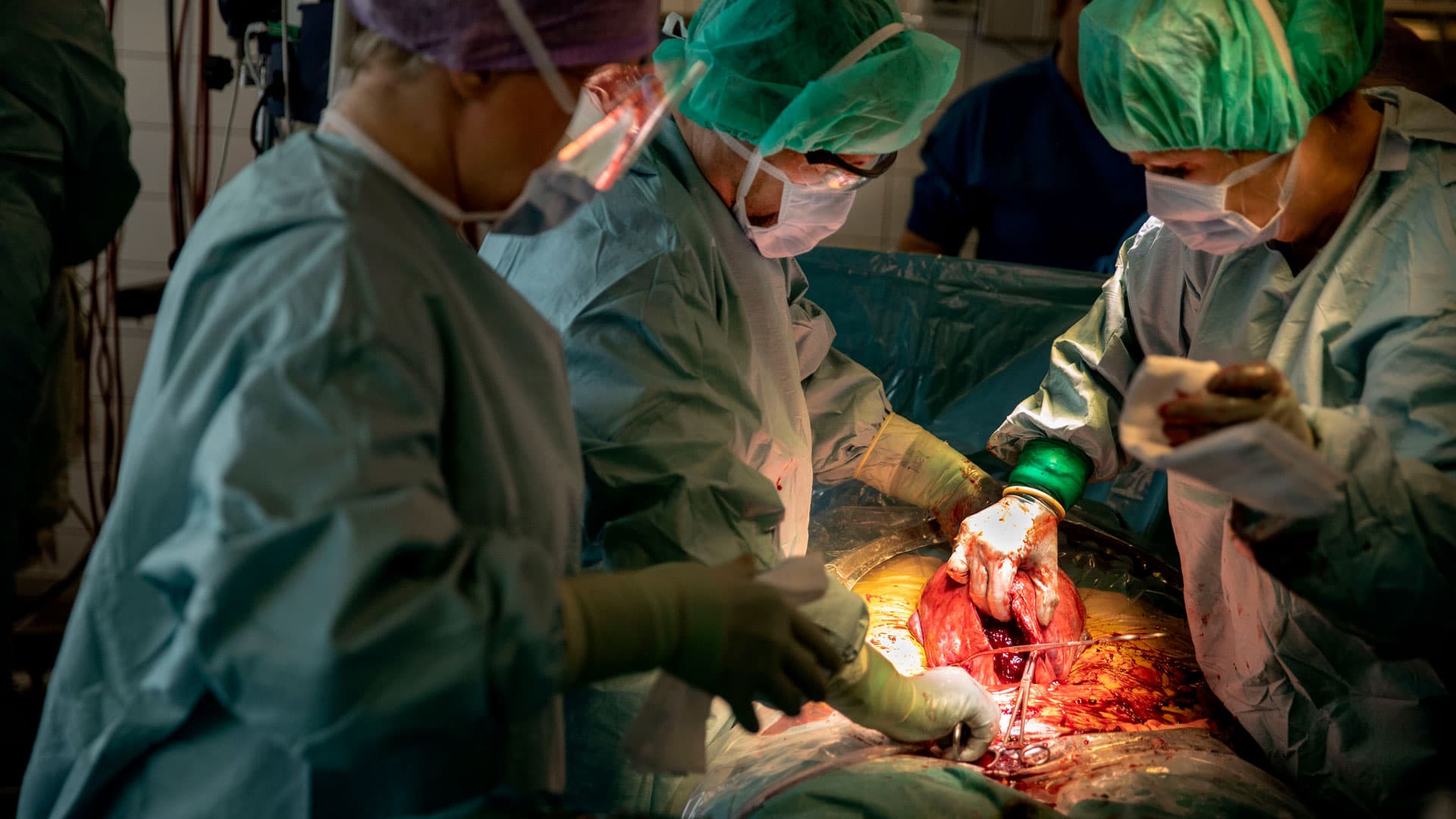 Foto: Nils Lund Pedersen