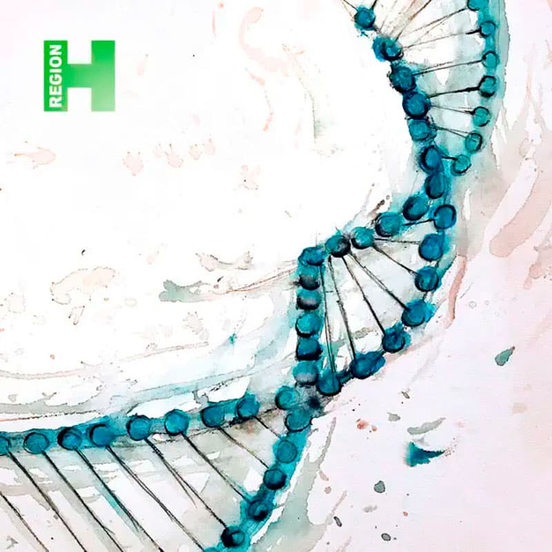 Cover: Regions Hovedstadens Psykiatri 