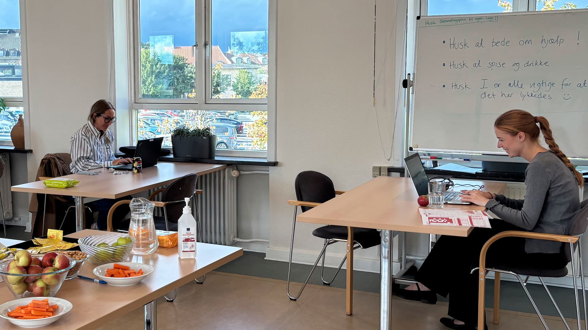 Medarbejdere i »skrivestue«