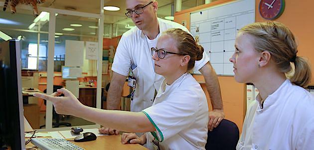 Overlæge Jon Waarst Gregersen hjælper introlæge Mie Klessen Eickhoff og medicinstuderende Emma Ramstad på Nefrologisk Afdeling på Herlev Hospital Fotograf: Jens-Peter Wehlitz