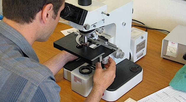Trods Penkowa-sagen og deraf afledte sager rangerer dansk forskning meget højt på de internationale ranglister. Foto: Klaus Larsen