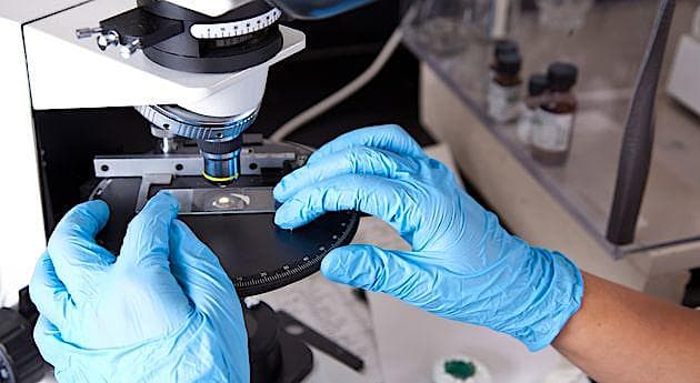 Systemet, der skal registrere forskning i Region Hovedstaden, fungerer ikke særlig godt.