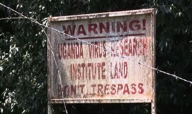 Zika-virus blev først opdaget i en lille stump regnskov i Uganda. Efter næsten 70 år blev den med ét slag verdenskendt. Foto: Youtube