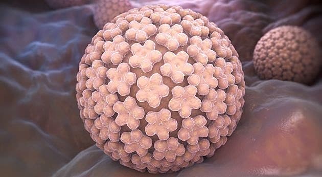 HPV-virus. Foto: Colourbox.