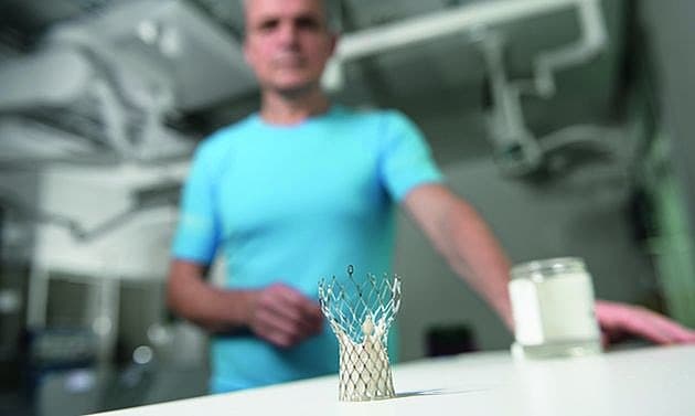 ©2017 Palle Peter Skov