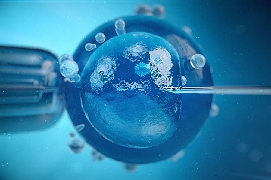 Fra 2013 til 2016 steg antallet af børn, der kom til verden via fertilitetsbehandling, fra 4226 til 4943 årligt - eller hvad der svarer til 8 pct. af en fødselsårgang. Foto: Bigstock