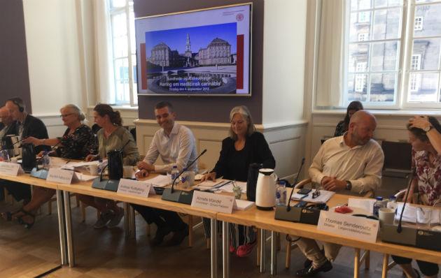Panelet ved cannabis-høringen på Christianborg. 