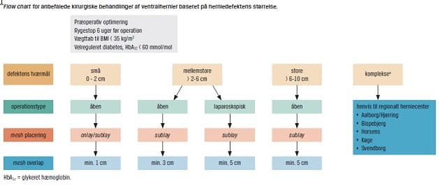 ©. Flow chart for anbefalede kirurgiske behandlinger af ventralhernier baseret på herniedefektens størrelse.