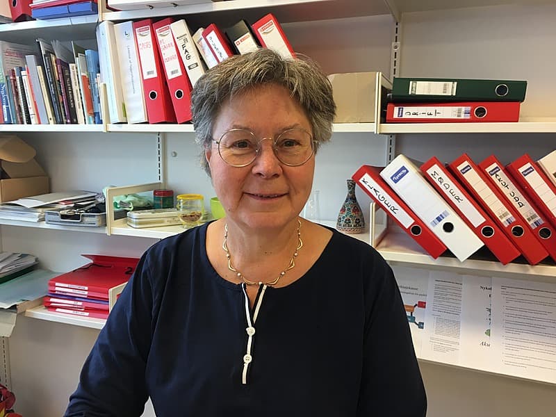 Specialeansvarlig overlæge Anne Molzen, Akutmodtagelsen: "Der er noget forkert i, at vi kun tænker på at få patienterne ud herfra af økonomiske årsager."