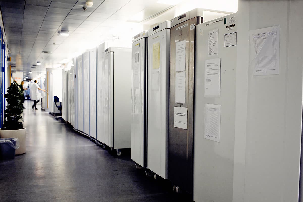 Gangene er proppet med frysere og præcise informationer om, hvilken kohorte der befolker de endeløse frosthylder og bidrager med væv og sæd til forskningen. Foto: Claus Boesen