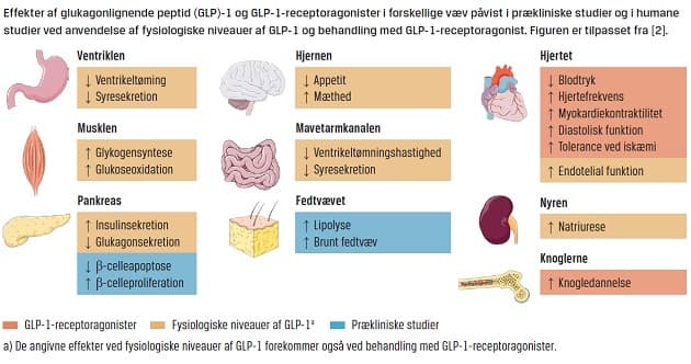 © Ugeskrift for Læger