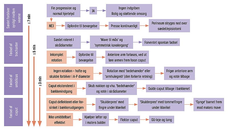 Flowchartet bliver brugt til at holde styr på, hvornår læge eller jordemoder skal gribe ind. Copyright Breech Birth Network, breechbirth.org.uk. Designet af Shawn Walker, oversat til dansk af Kamilla Gerhard Nielsen.