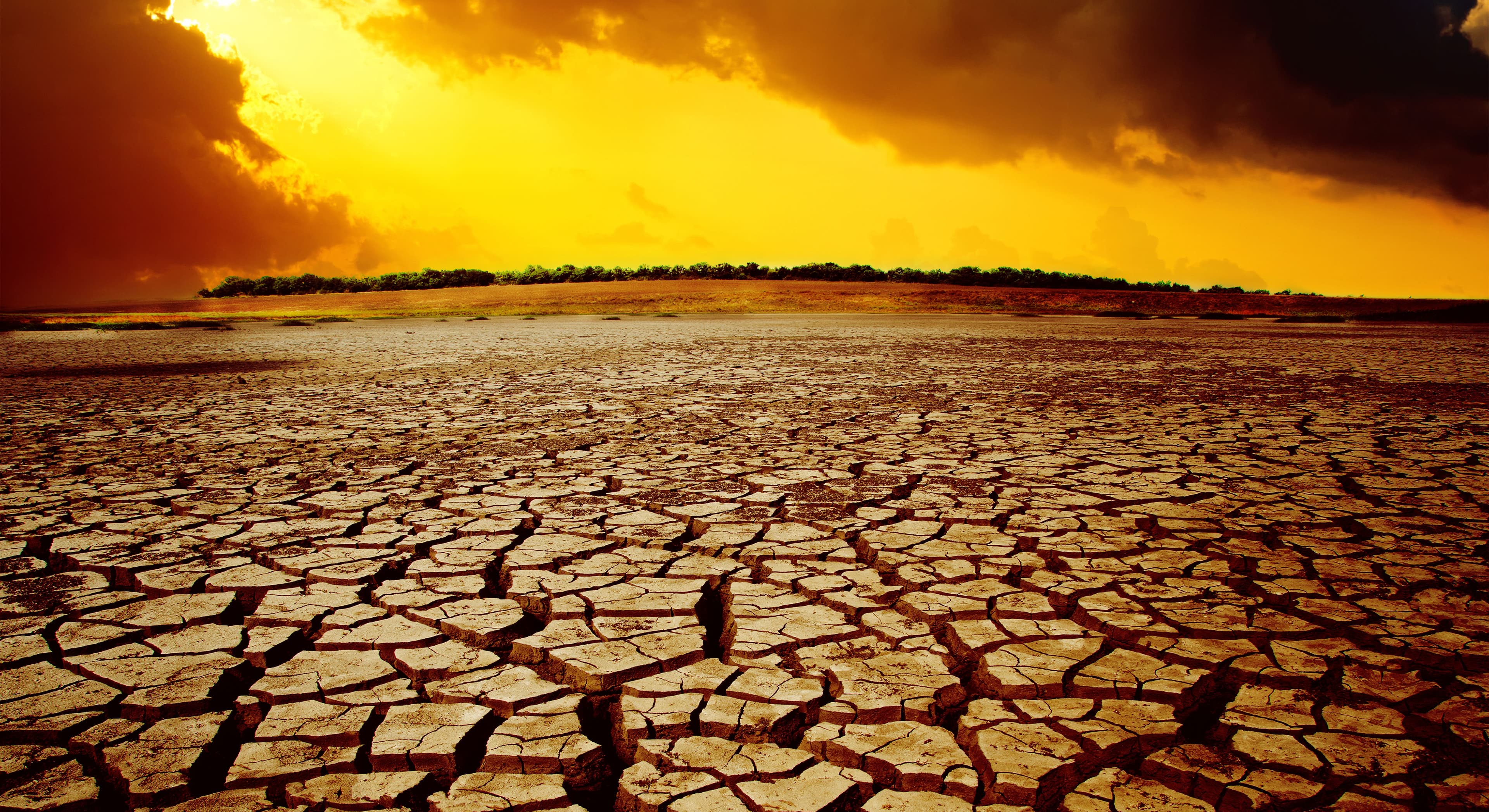 Udtørret sø. Foto: Colourbox