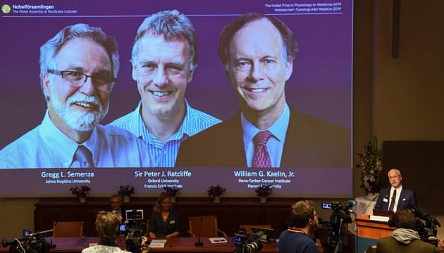 Vinderne af Nobelprisen i medicin 2019: Gregg Semenza, Peter Ratcliffe og William Kaelin. Foto: Jonathan Nackstrand / Ritzau Scanpix
