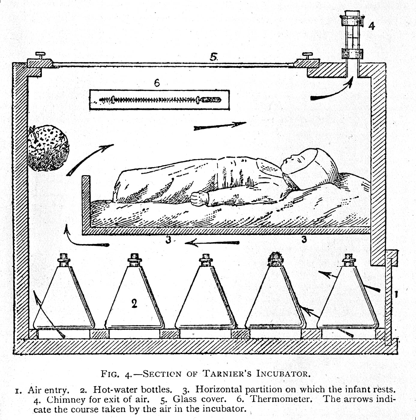 Tidlig inkubator, model Tarnier. Ill.: The Wellcome Collection.