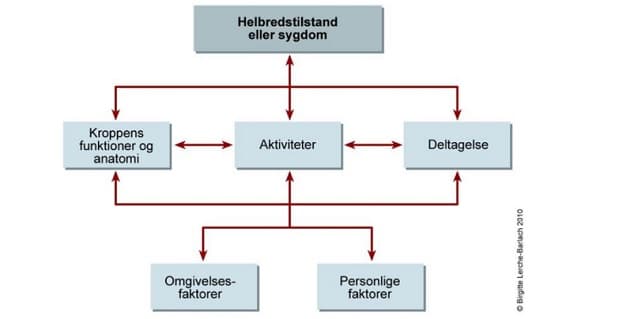 Rehabiliteringen kan med fordel gennemføres med udgangspunkt i ICF-referencerammen.