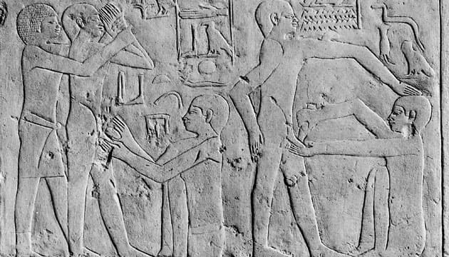 Relief på Ankh-ma-Hors sarkofag i Saqqara fra omkring 2350 f.v.t. viser den rituelle omskæring som forberedelse til indtræden i præsteskabet. Manden til højre siger ifølge inskriptionen: »Skær godt til!«. Den siddende mand med kniven svarer: »Jeg skal nok være omhyggelig«. Personen til venstre er knap så kålhøgen: Manden med kniven siger til sin hjælper: »Hold ham fast. Lad ham ikke besvime«. Hjælperen svarer: »Jeg skal gøre, som du ønsker«. (Foto: The Wellcome Collection)