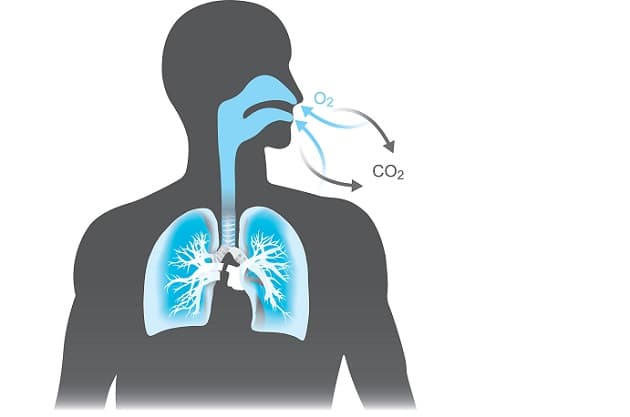 An optimal follow-up should include focus on symptom improvement and smoking cessation.