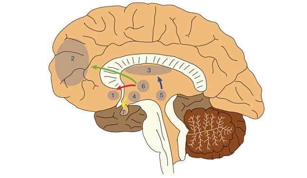 Ugeskr Læger 2021;183:V06210490