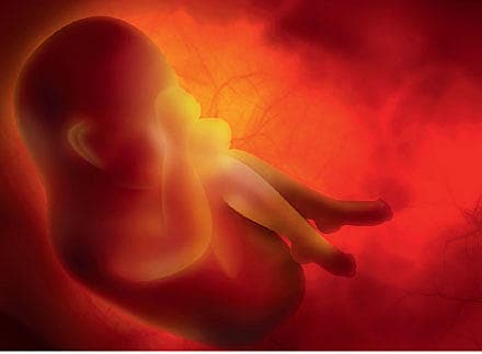 SSRI overføres via maters serum til den føtale cirkulation.