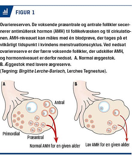 indsats Beskrivelse Omgivelser Klinisk anvendelse af antimüllersk hormon i fertilitetsbehandling |  Ugeskriftet.dk