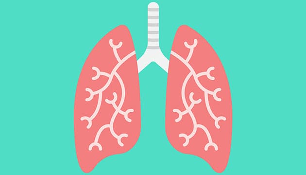 Illustration: Colourbox