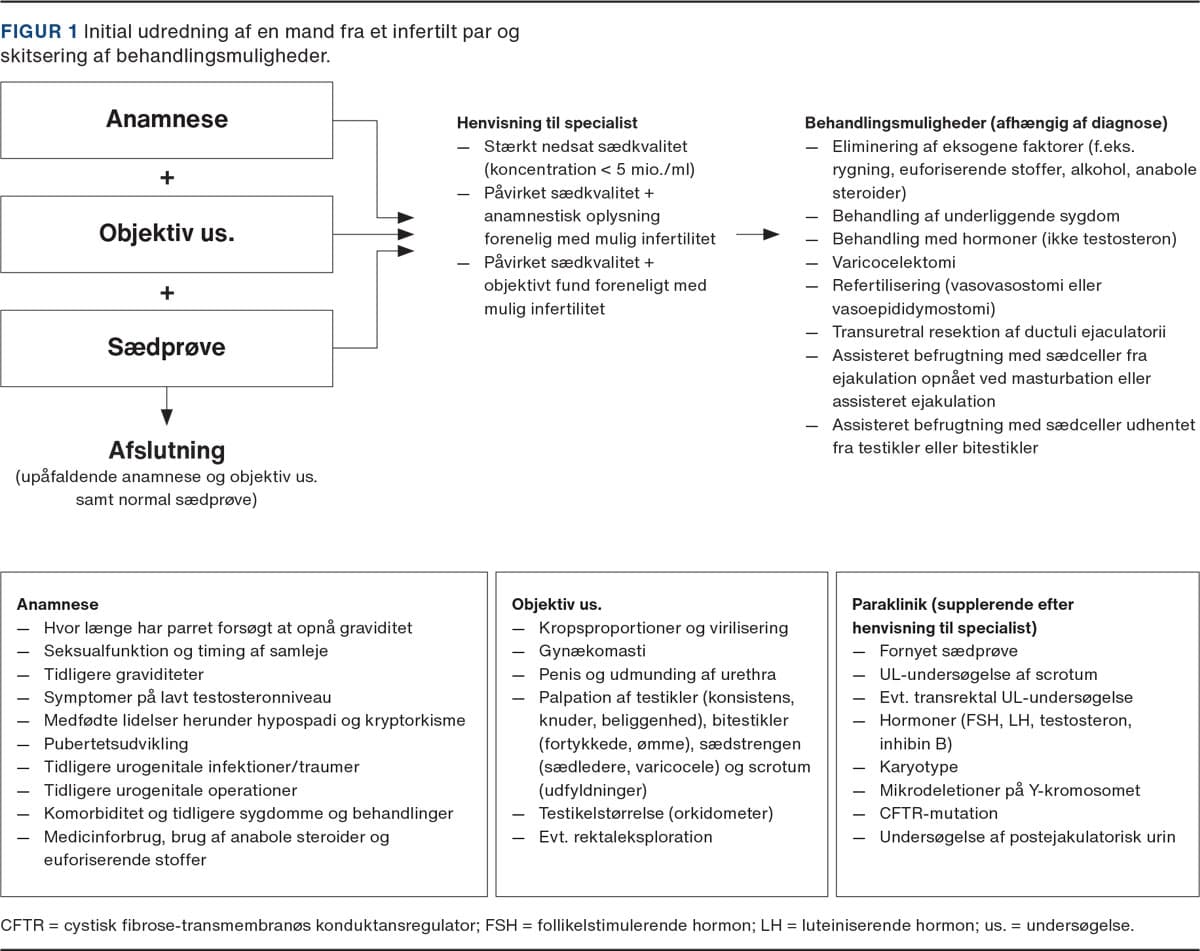 Udredning og mandlig infertilitet | Ugeskriftet.dk