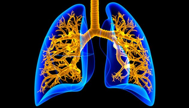 Illustration: Colourbox 