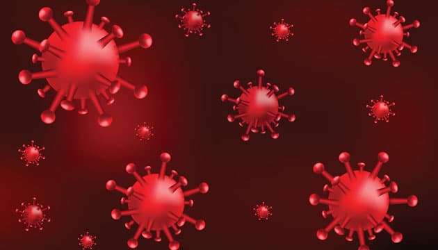 Illustration: Colourbox 