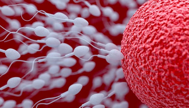 Illustration: Colourbox