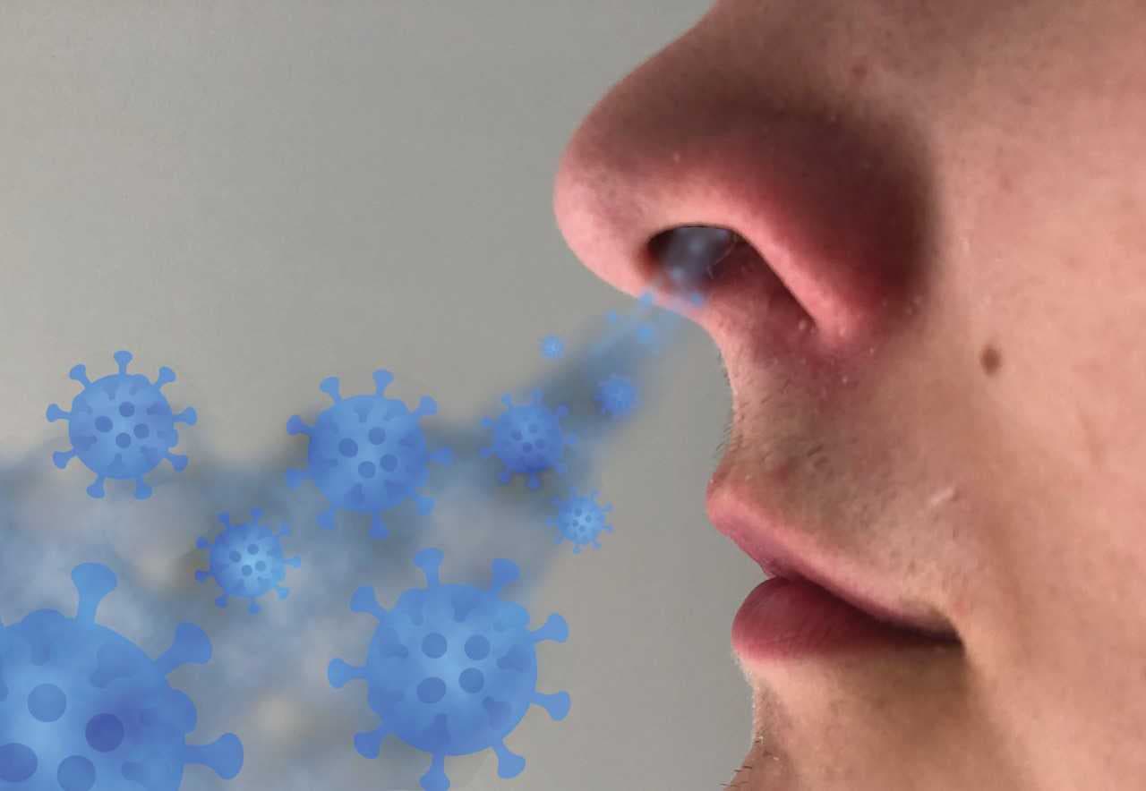 SARS-CoV-2-infektion via næsens epitel.