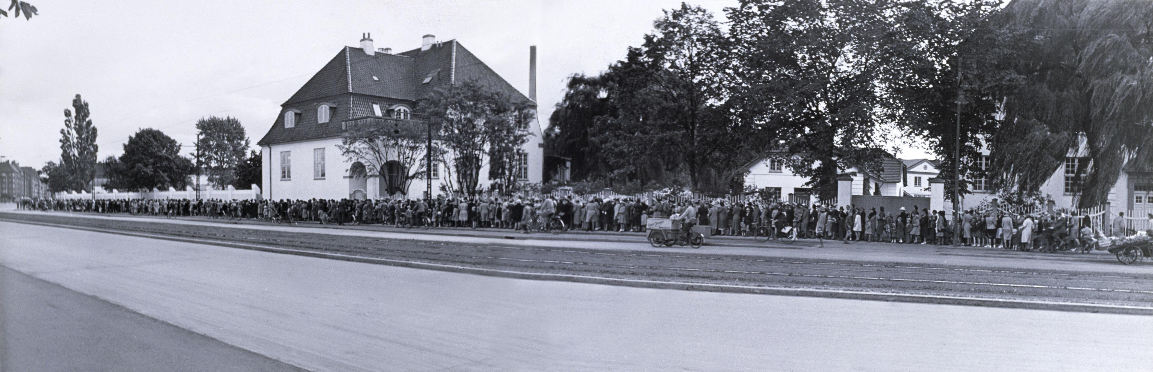 Kø foran Statens Serum Institut i september 1941. Københavnerne afsatte gerne en halv dag for at blive vaccineret for difteri (foto: Statens Serum Institut). 