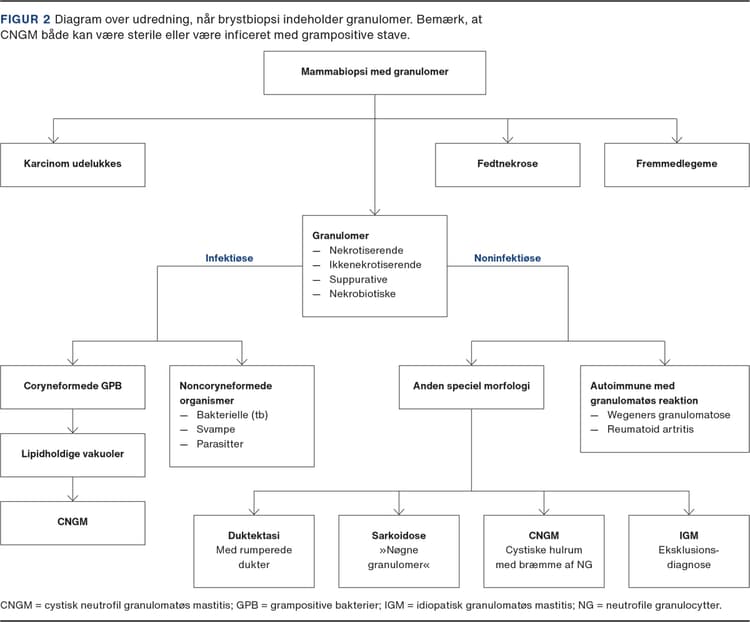 Granulomatøs mastitis Ugeskriftet.dk
