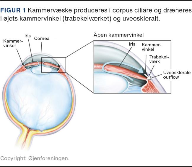 paraply lækage nyhed Medicinsk behandling af åbenvinklet glaukom | Ugeskriftet.dk