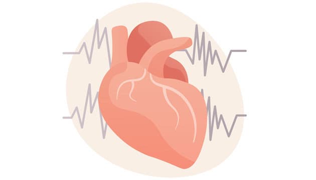 Illustration: Colourbox 