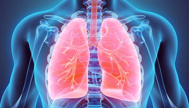 Illustration: Colourbox