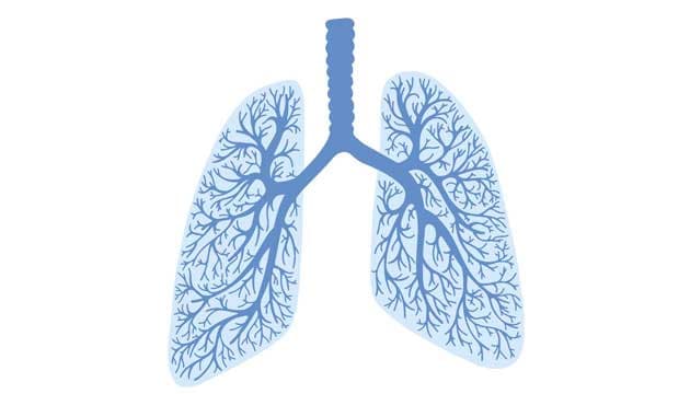 Illustration: Colourbox 