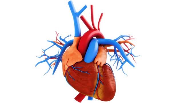 Illustration: Colourbox