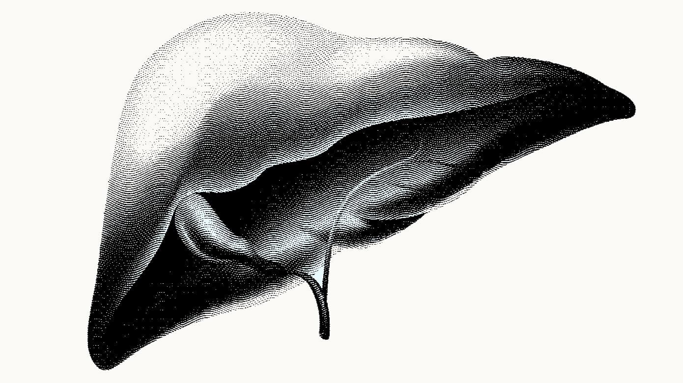 Illustration: CreativeZoo og Colourbox