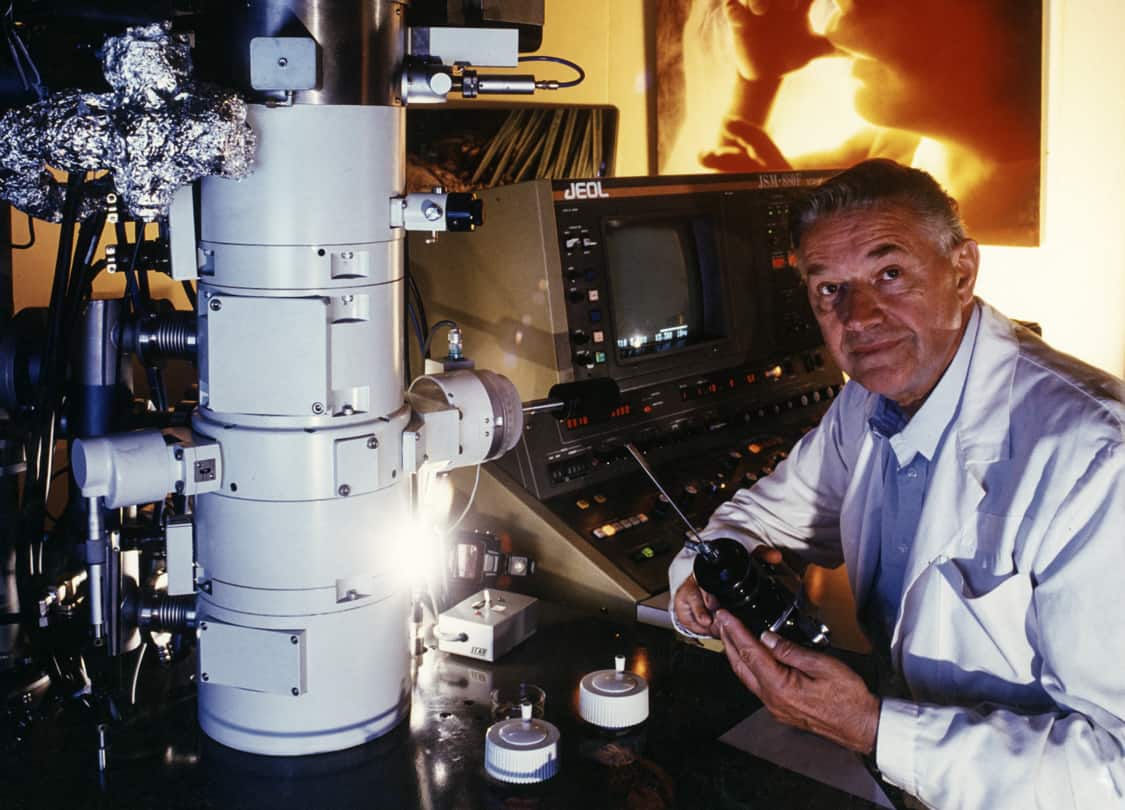 Copyright Lennart Nilsson Photography