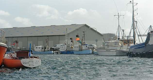 Hundested havn. Foto: Halsnæs kommune