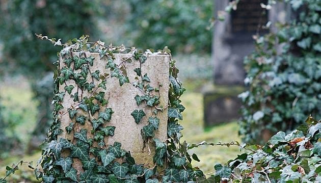 ”Vi får ikke magten over døden, ligegyldigt hvor meget vi taler om den, finder forklaringer eller forholder os til den”. Foto: Colourbox