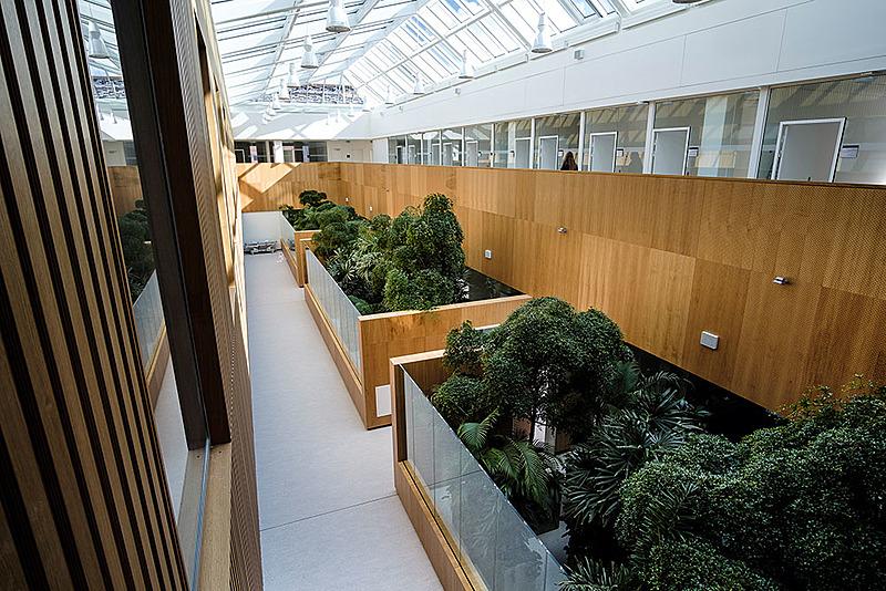 Nederst patienternes venteområde. Øverst er der kontorer og faciliteter til forskere. Der er plads til 30 forskere. Foto: Jesper Voldgaard.
